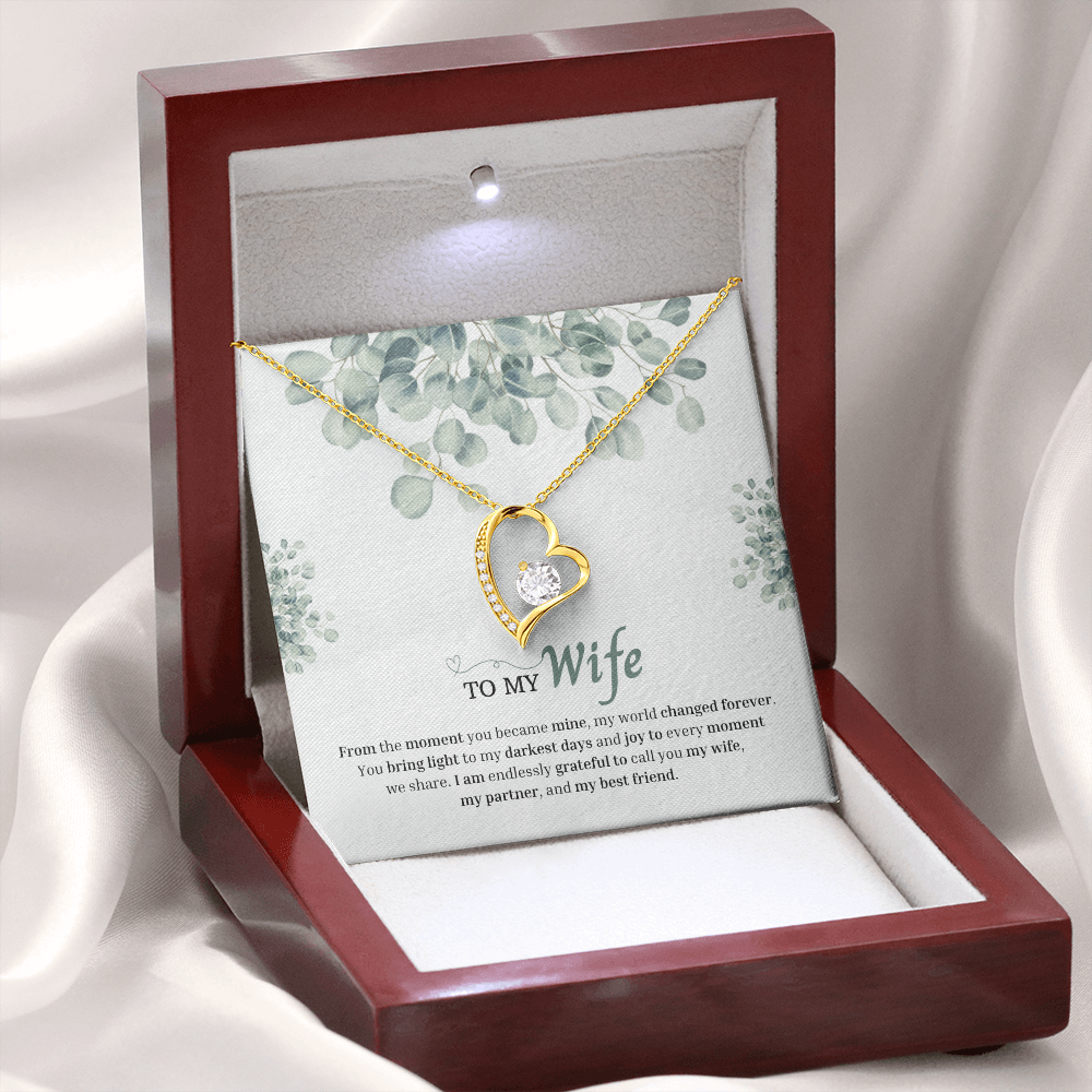 To My Wife | You Changed My World Forever | Forever Love Necklace