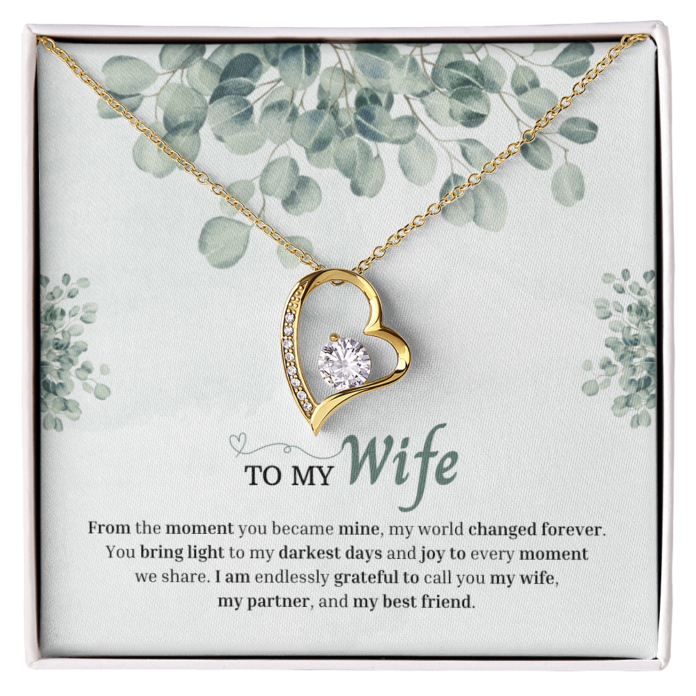 To My Wife | You Changed My World Forever | Forever Love Necklace