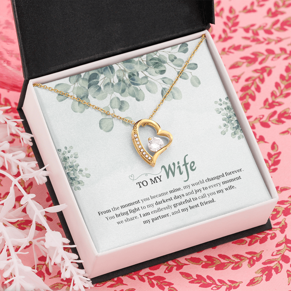 To My Wife | You Changed My World Forever | Forever Love Necklace